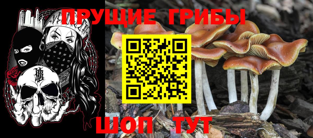 Верхний Уфалей  Псилоцибиновые грибы мухоморы  Вход с VPN  Галлюциногенные грибы прущие грибы 