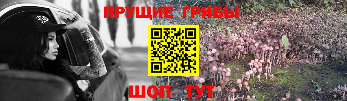 Галлюциногенные грибы мицелий Верхний Уфалей